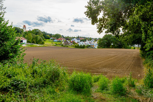 Thumbnail: _JA 40827 Kirche, Hohenried Nordost, Katze.jpg